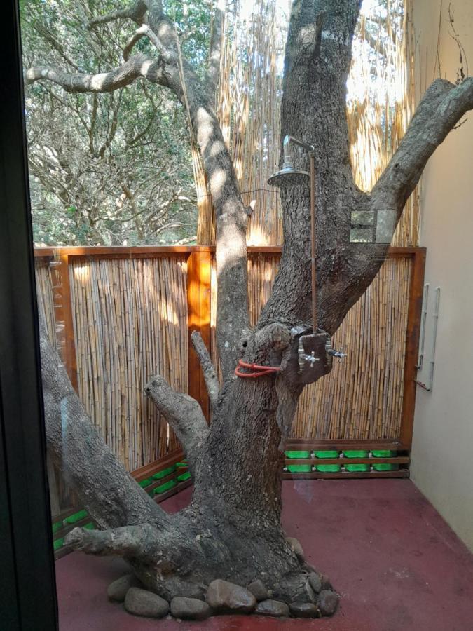 Kosi Bay Casitas Manguzi Exterior foto